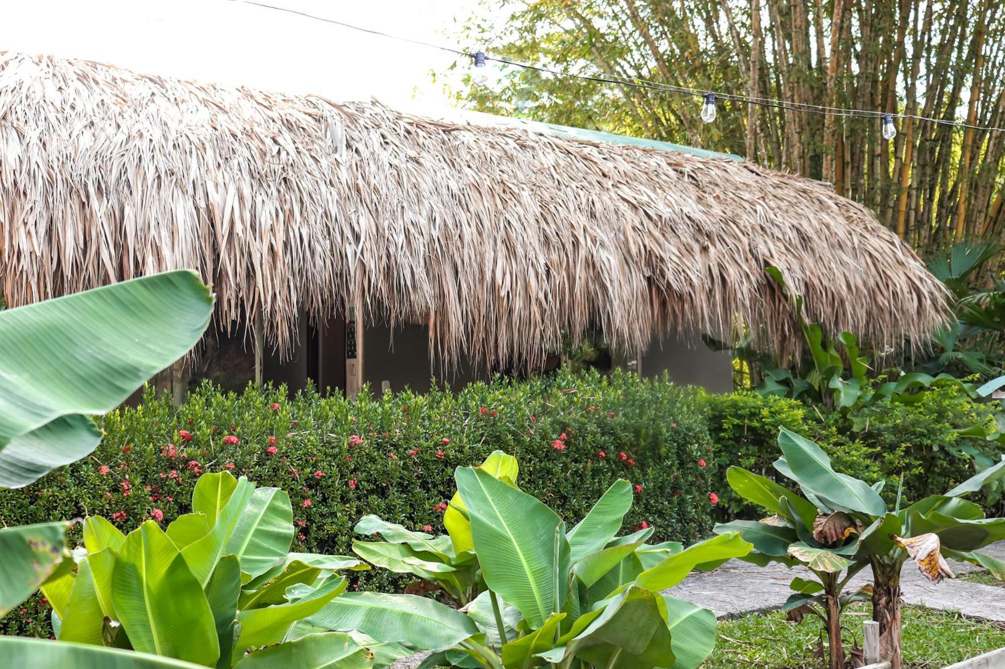 Colores Ecoparque 4* Doradal